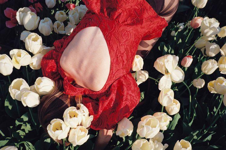 Tulipany