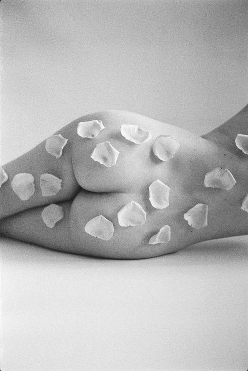 Rose Body @roedeeranazarucka