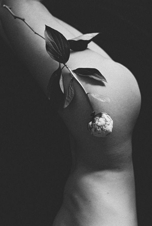 Peony @roedeeranazarucka