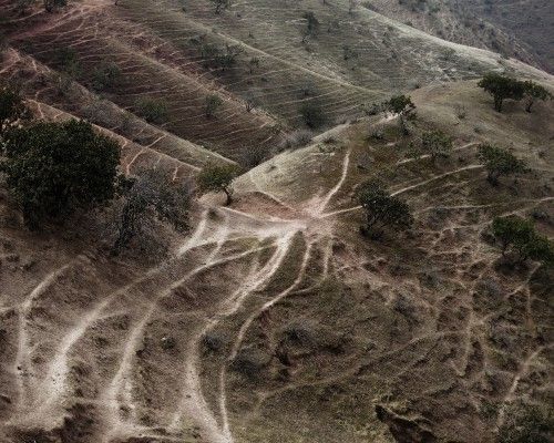 1. Wspólnie. 20 lat kolektywu Sputnik Photos