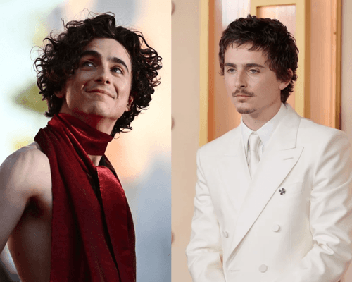 Timothée Chalamet – jak książę indie stał się hollywoodzką marką