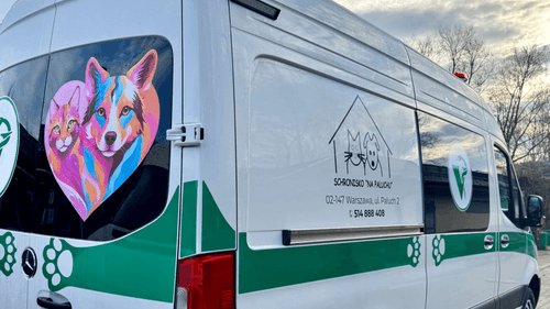 Pierwsza karetka dla zwierząt w Warszawie. Schronisko na Paluchu rusza z przełomową inicjatywą