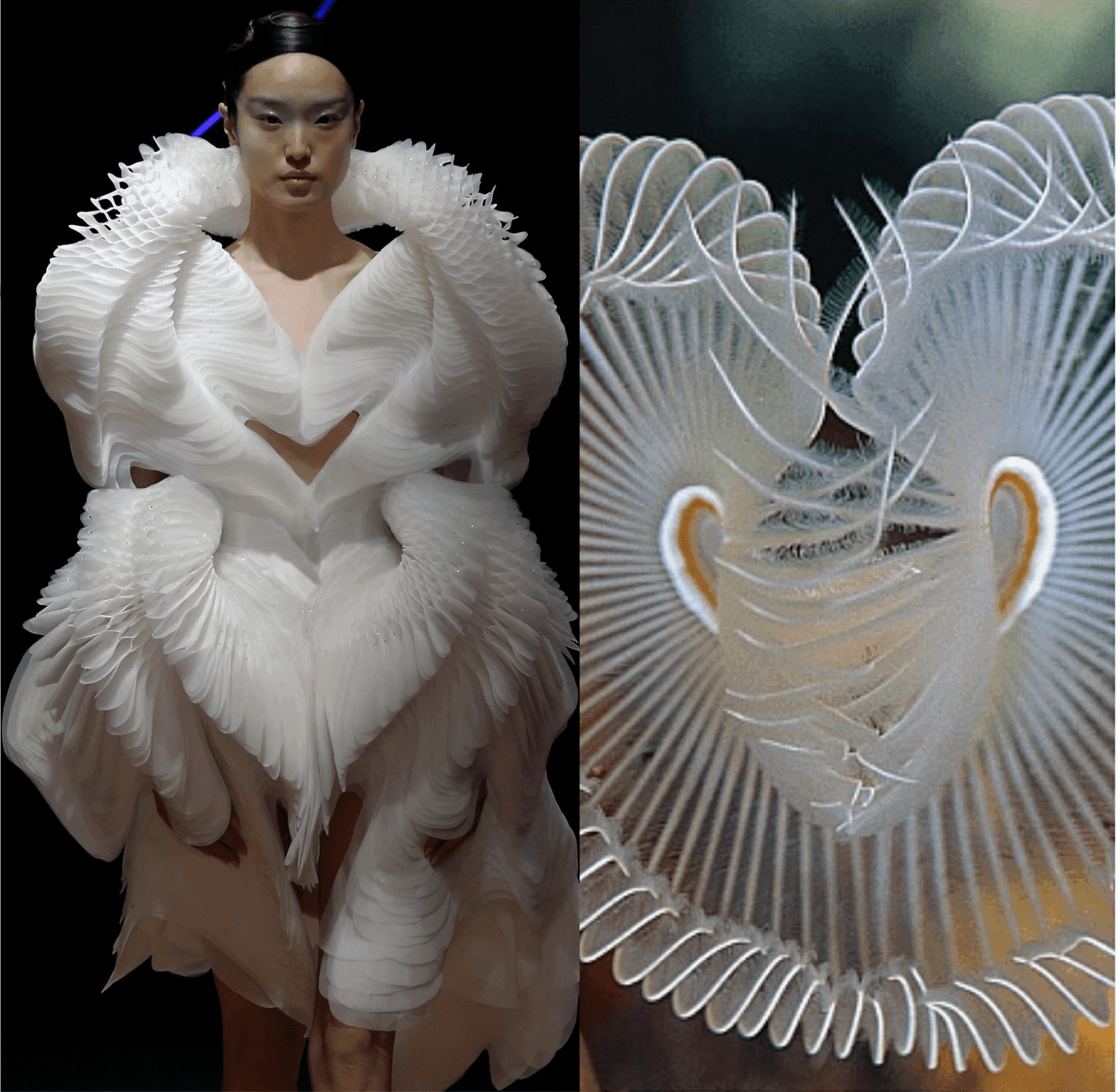 Fashion.biologique zapiera dech w piersiach. To spojrzenie na modę przez pryzmat biologii