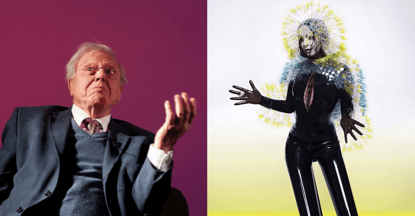 Sir David Attenborough fanem Björk? Słynny biolog wspomina spotkanie z artystką