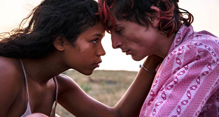 Timothée Chalamet w roli zakochanego kanibala w nowym filmie Luca Guadagnino