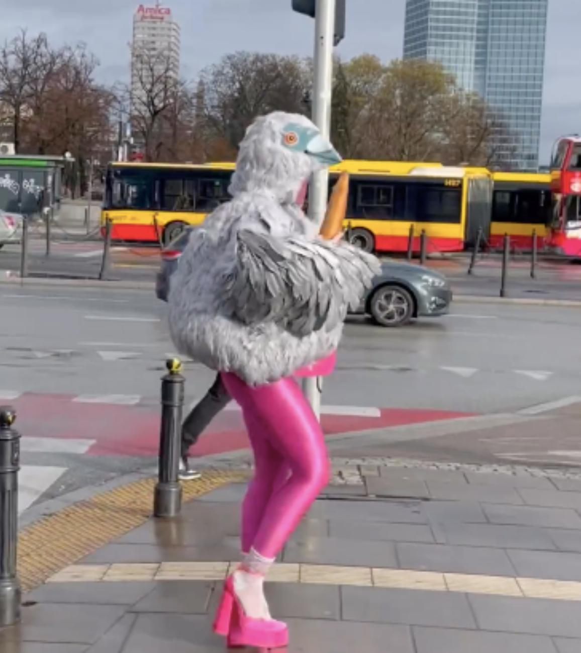 Kobieta-gołąb podbija ulice polskich miast na viralowych filmikach