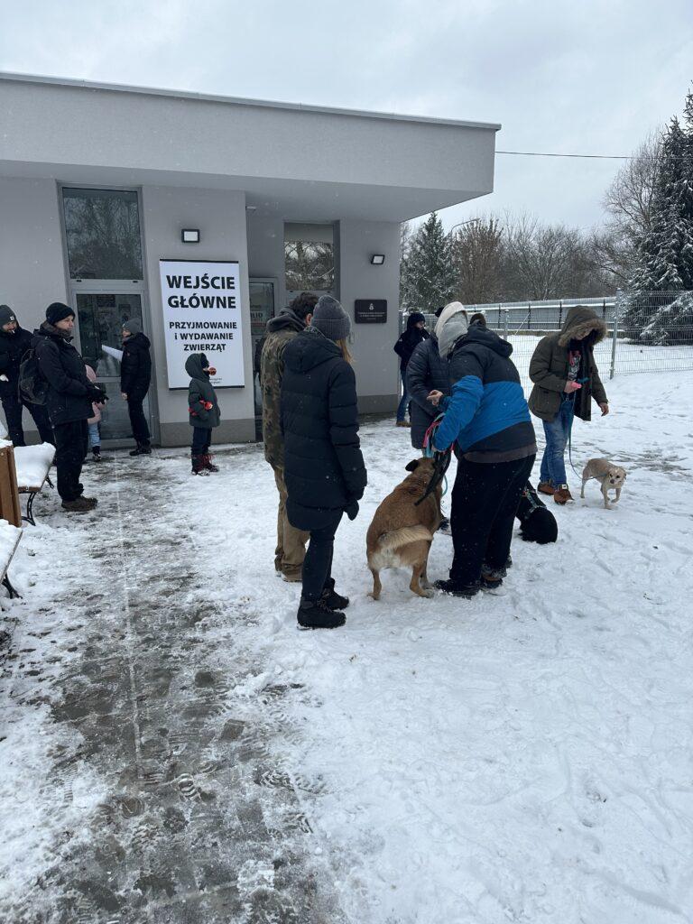 Wielki sukces Akcji Mrozy! 32 psy znalazły nowy dom i to nie koniec