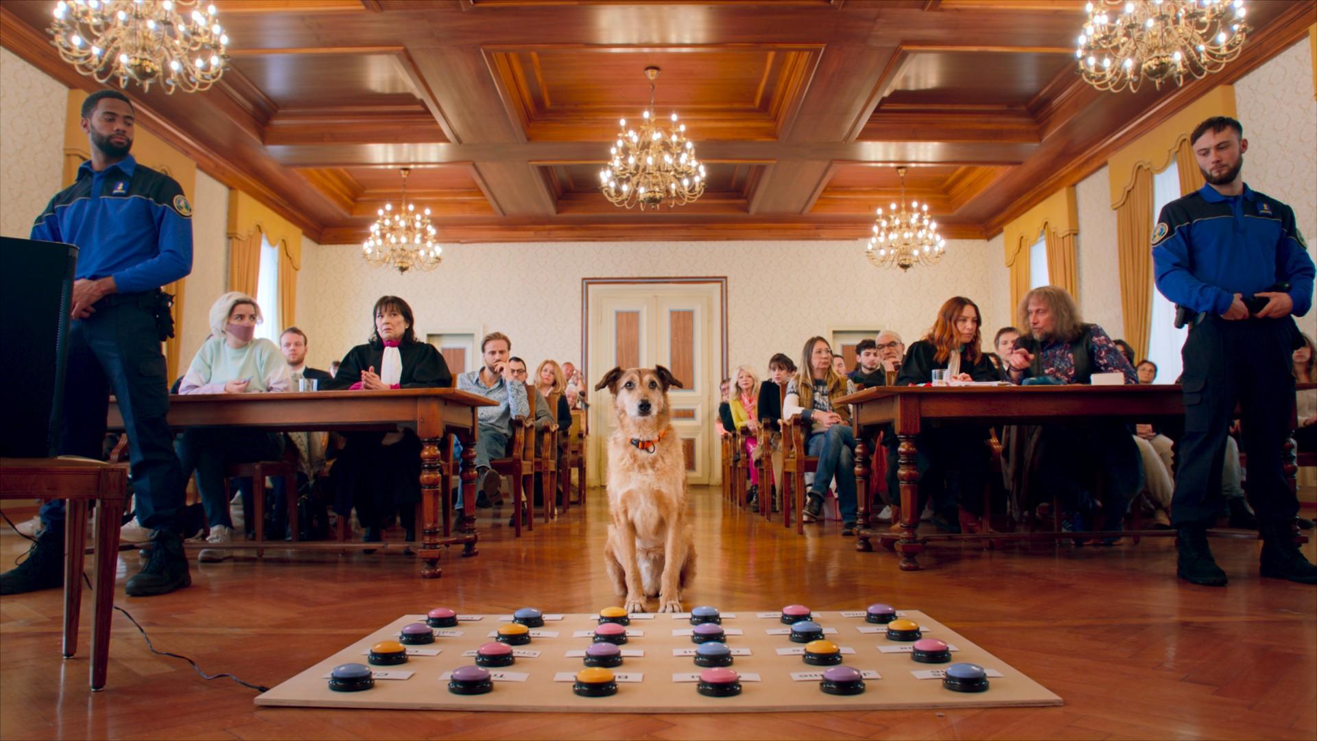 8 zupełnie różnych historii, które warto zobaczyć podczas Warszawskiego Międzynarodowego Festiwalu Filmowego