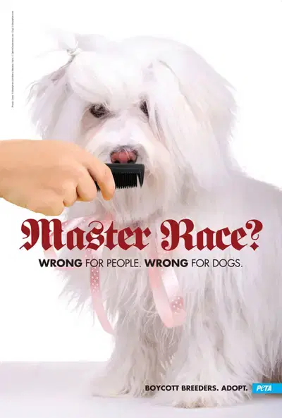 Pies z wąsem Adolfa