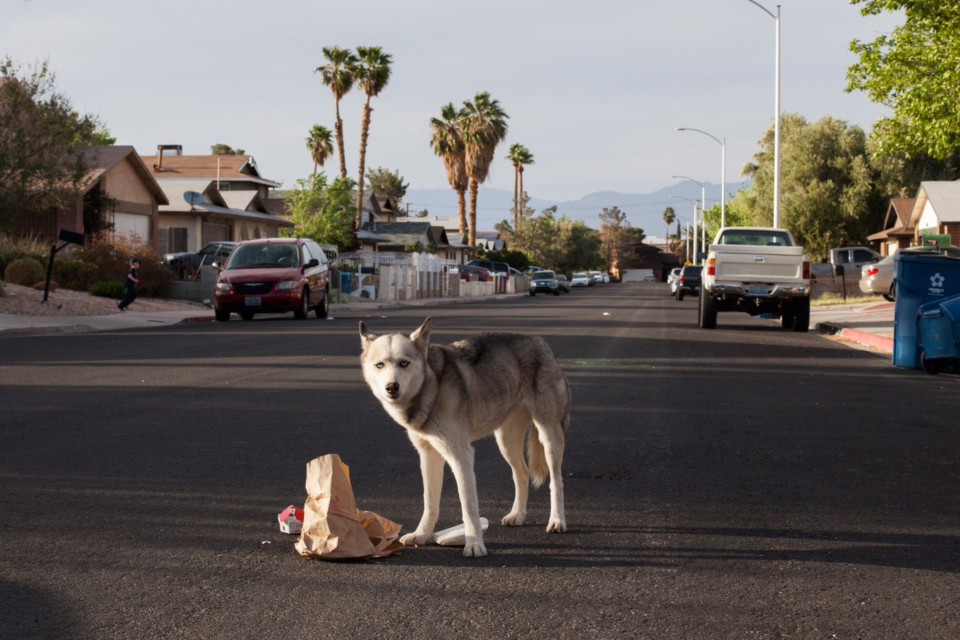 Hayley Austin, „The Springs” / „Strumienie"