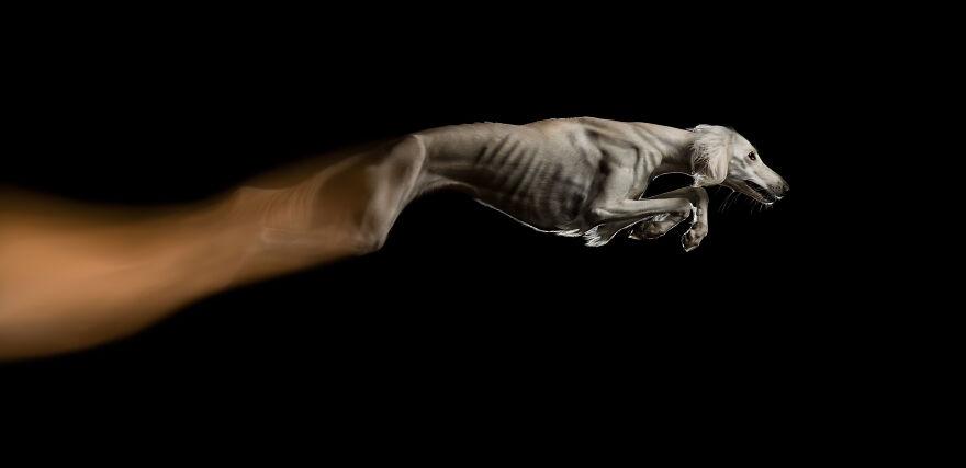 1 miejsce, Akcja: Stop Your Motion, Jacqueline Rüdiger