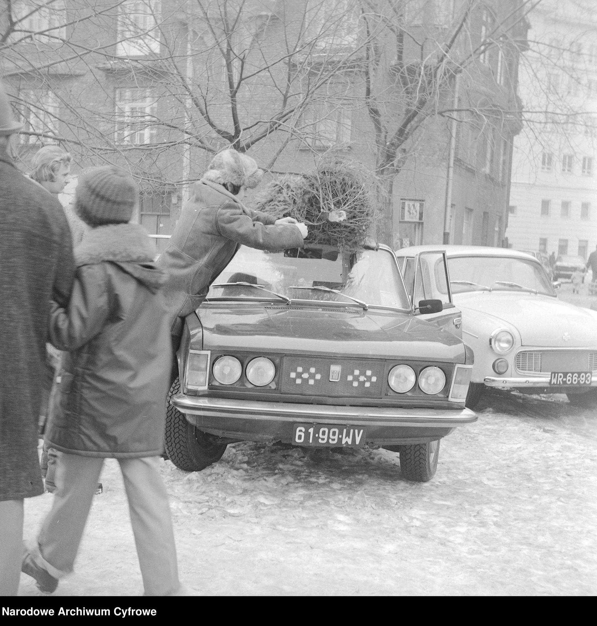 Sprzedaż choinek w Warszawie
