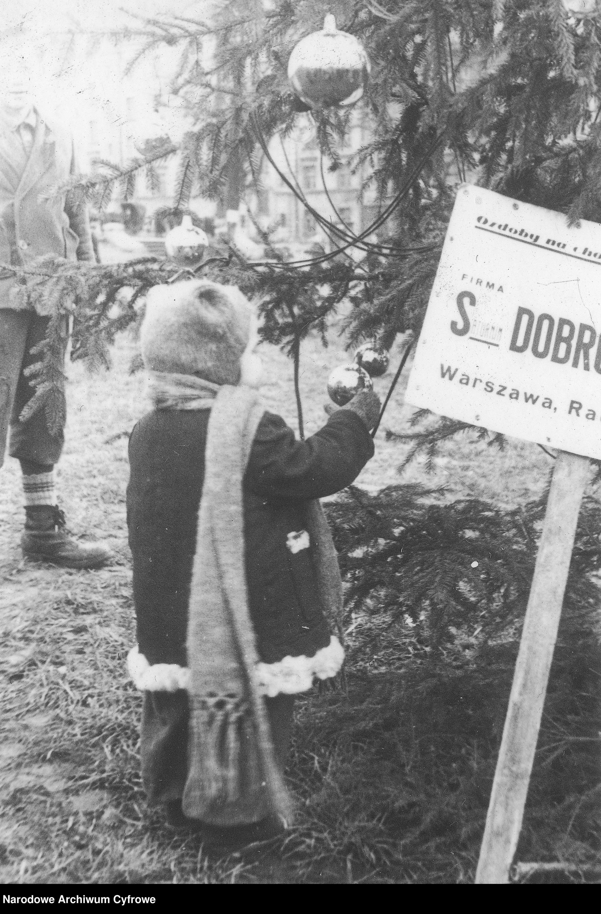 Choinki na ulicach Warszawy