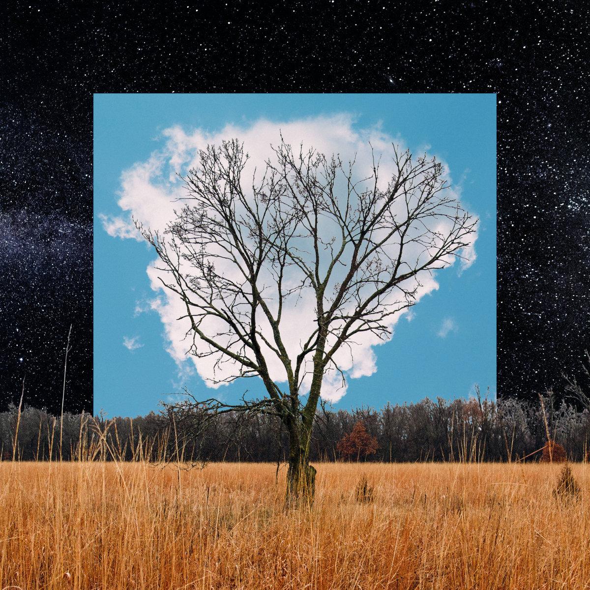 34. Fink - Bloom Innocent