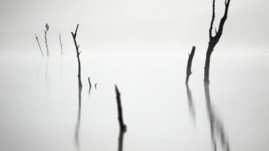 Zwycięzca w kategorii wiekowej 11-14 lat: „Out of the fog”, Ismael Domínguez Gutierrez, Hiszpania