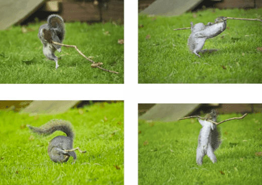 “Dancing To The Music, Rock guitar, Roly Poly, Weight Lifting”, Flynn Thaitanunde-Lobb