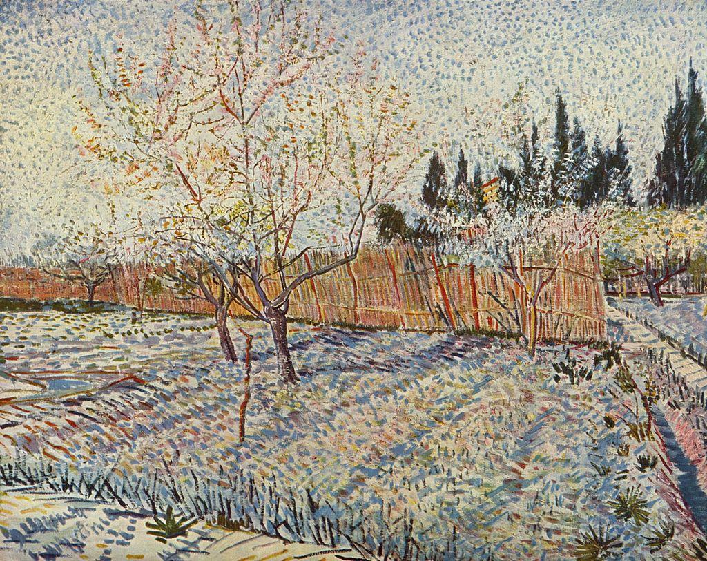 Vincent van Gogh, Verger avec cyprès, 1888
