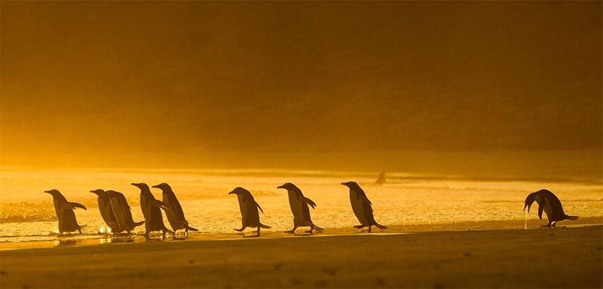 Christina Holfelder - „I could puke"