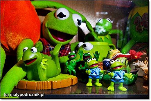 Muzeum Żaby w Kudowie-Zdroju