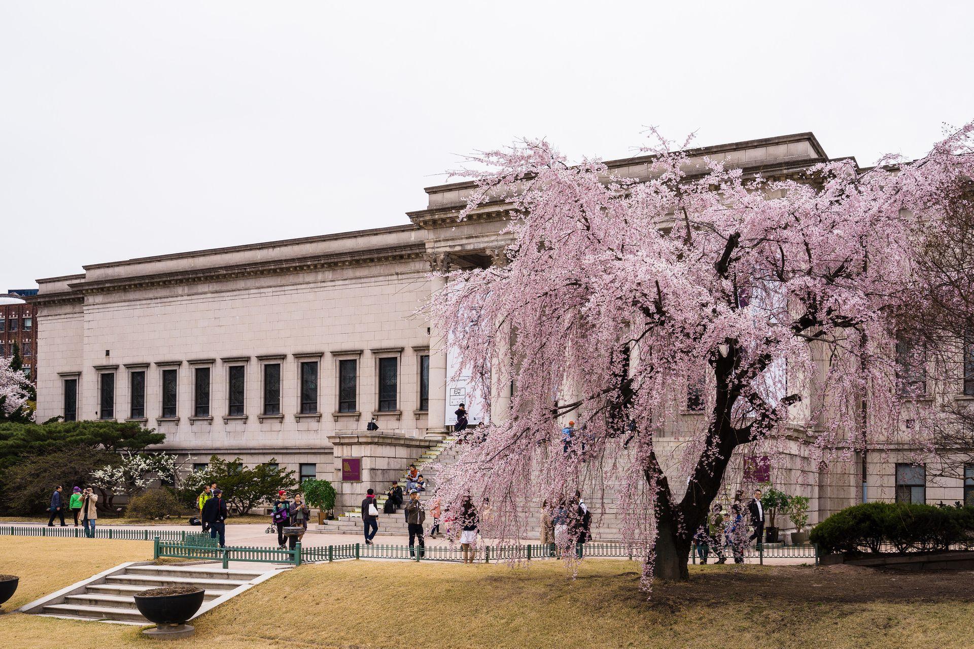 National Museum of Modern and Contemporary Art, Seul